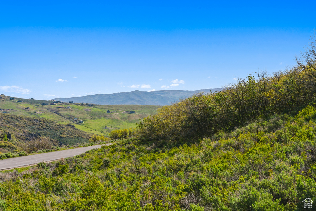 View of mountain backdrop