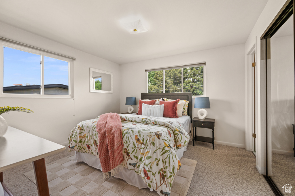 Bedroom with light carpet
