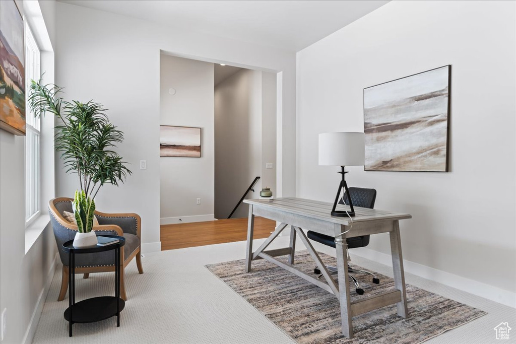 Office space featuring carpet flooring and baseboards