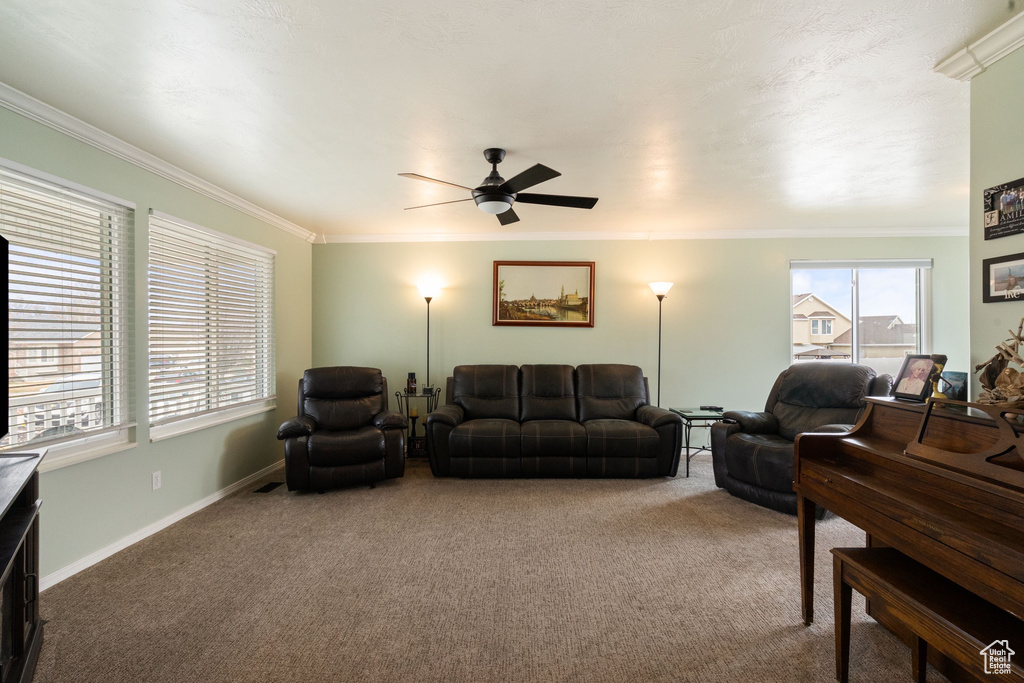 Living area featuring a ceiling fan, carpet floors, crown molding, and baseboards