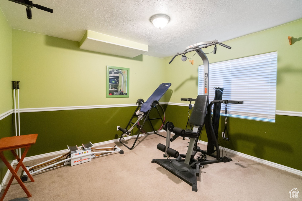 Exercise area with a textured ceiling, baseboards, and carpet floors