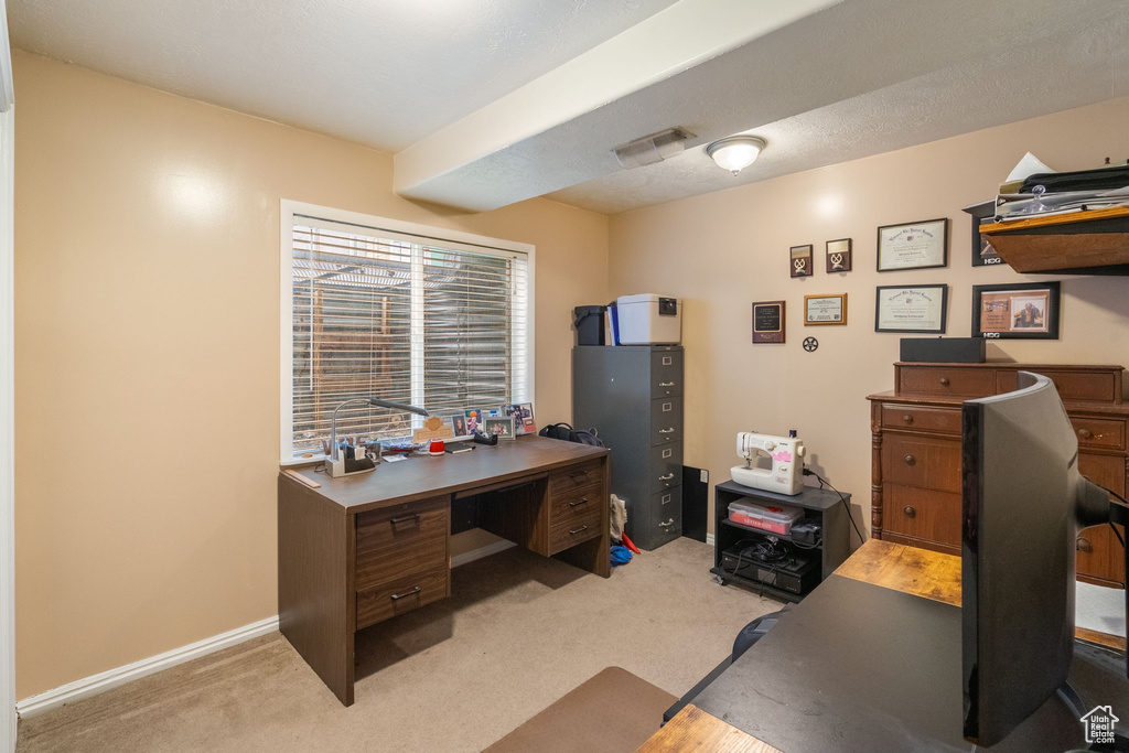 Home office featuring light colored carpet and baseboards