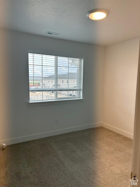 Empty room featuring plenty of natural light, carpet flooring, and baseboards