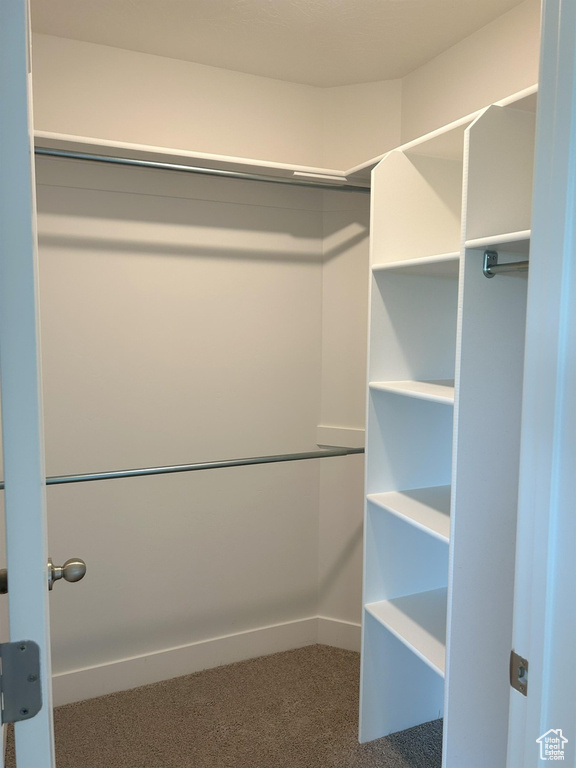 Spacious closet with carpet flooring