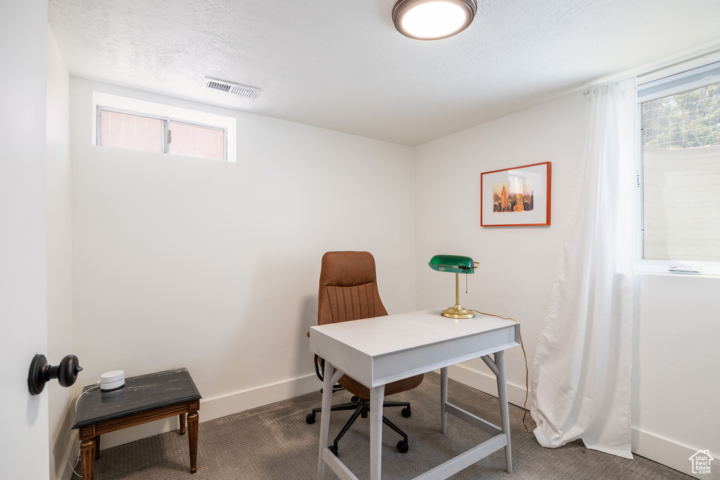 Carpeted office space featuring baseboards and plenty of natural light