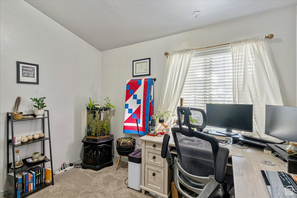 Office space with light carpet, baseboards, and lofted ceiling