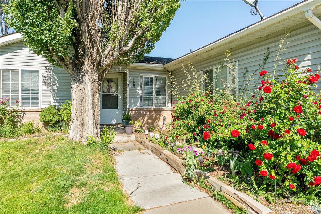 Entrance to property with a yard