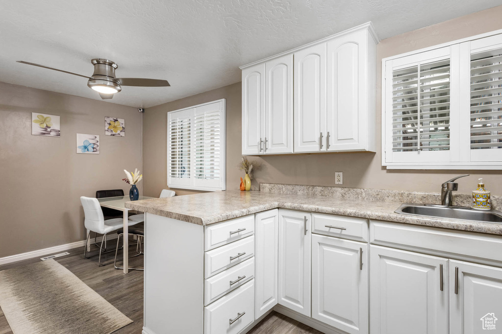 Kitchen featuring a sink, ceiling fan, wood finished floors, and white cabinetry