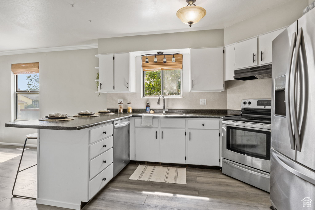 Kitchen featuring stainless steel appliances, under cabinet range hood, a sink, a peninsula, and dark countertops