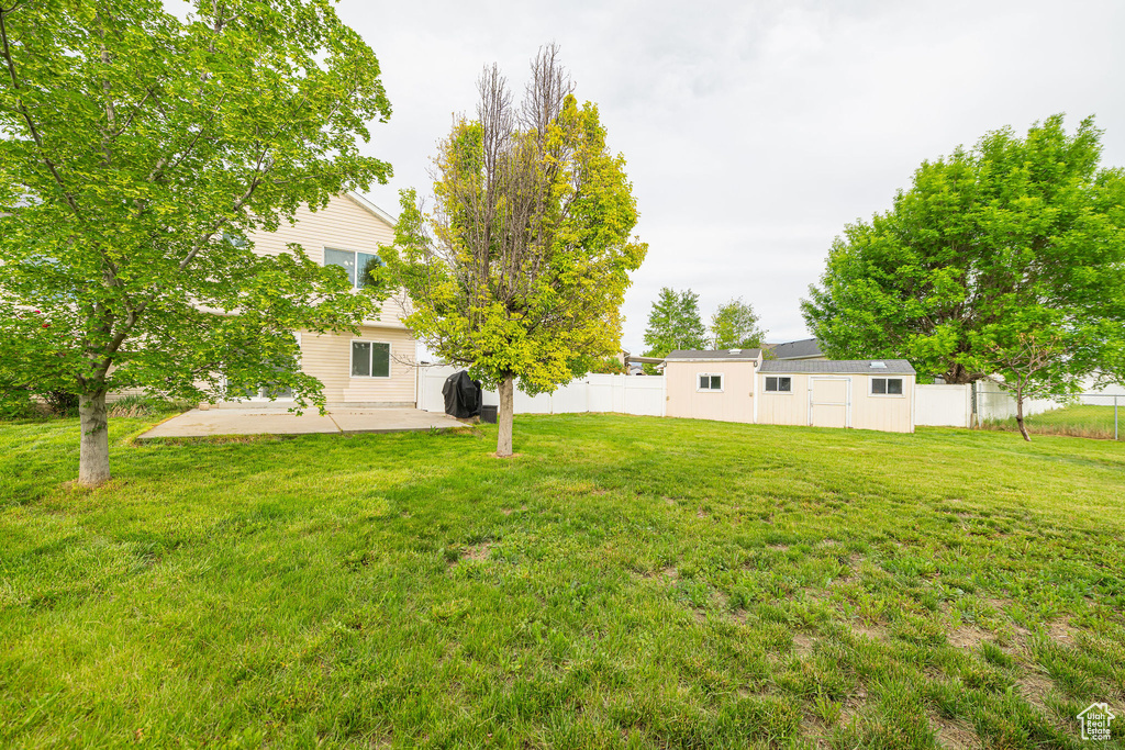 View of yard featuring a patio area and an outbuilding