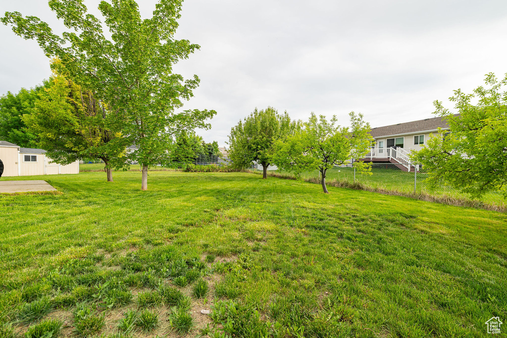 View of green lawn