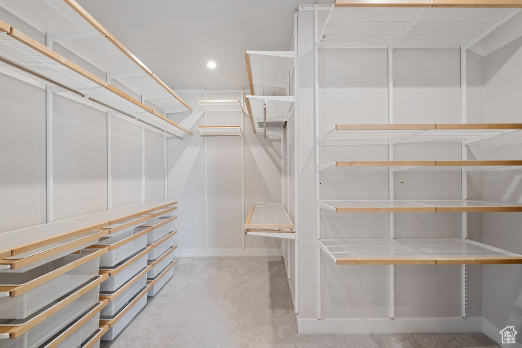 Spacious closet featuring carpet floors