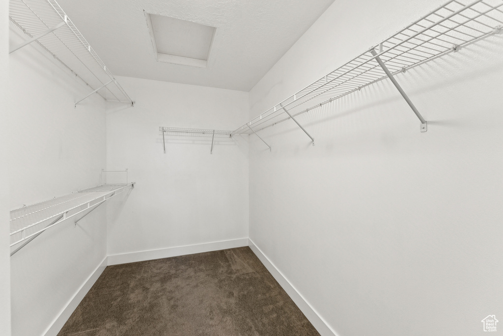 Spacious closet featuring dark colored carpet