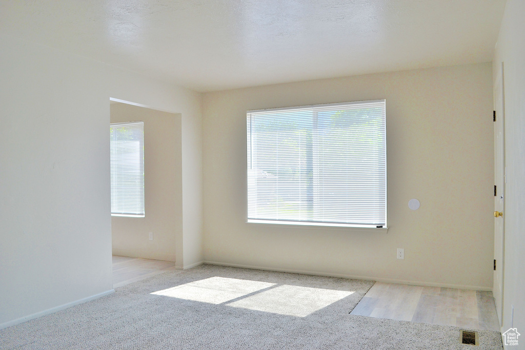 Empty room featuring carpet and plenty of natural light