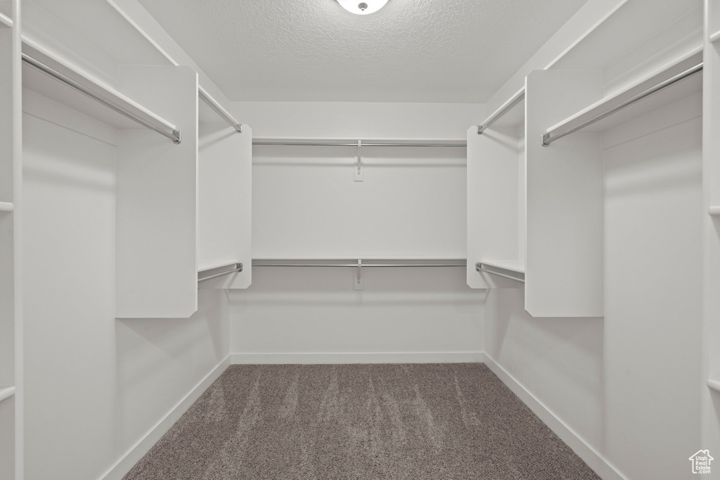 Spacious closet featuring carpet floors