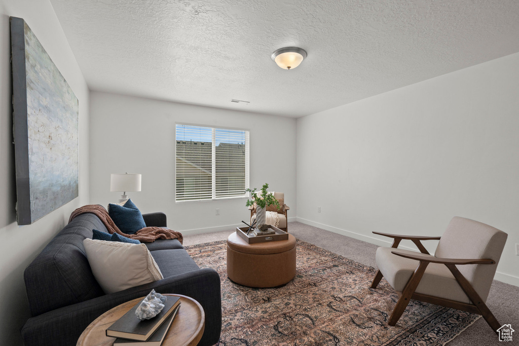Carpeted living area featuring a textured ceiling and baseboards
