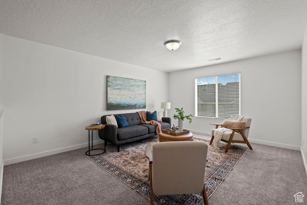 Living room with carpet, a textured ceiling, and baseboards
