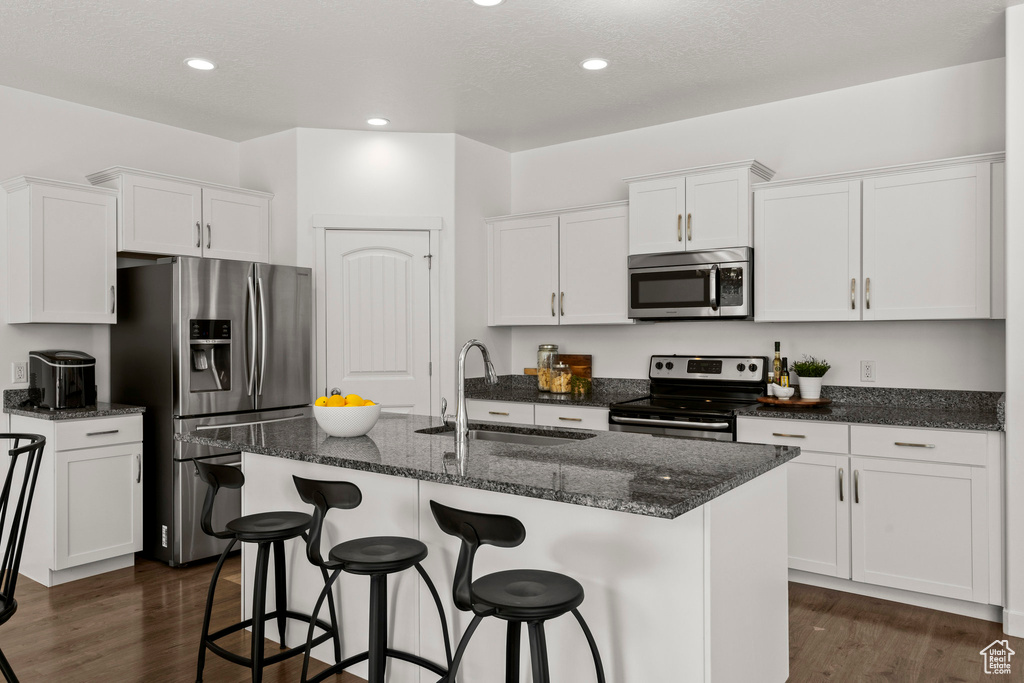 Kitchen featuring stainless steel appliances, a sink, white cabinetry, dark wood-type flooring, and recessed lighting