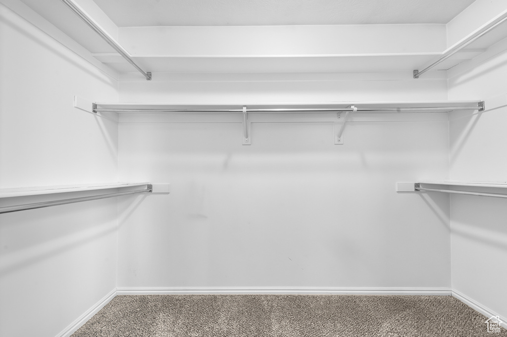 Spacious closet with carpet flooring