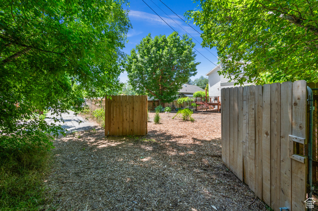 View of yard
