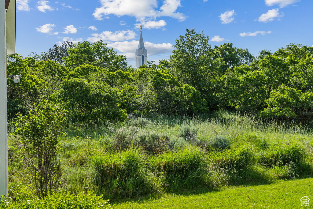 View of nature