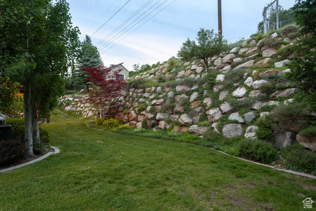 View of grassy yard