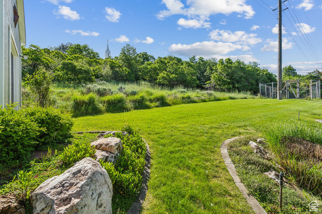 View of grassy yard