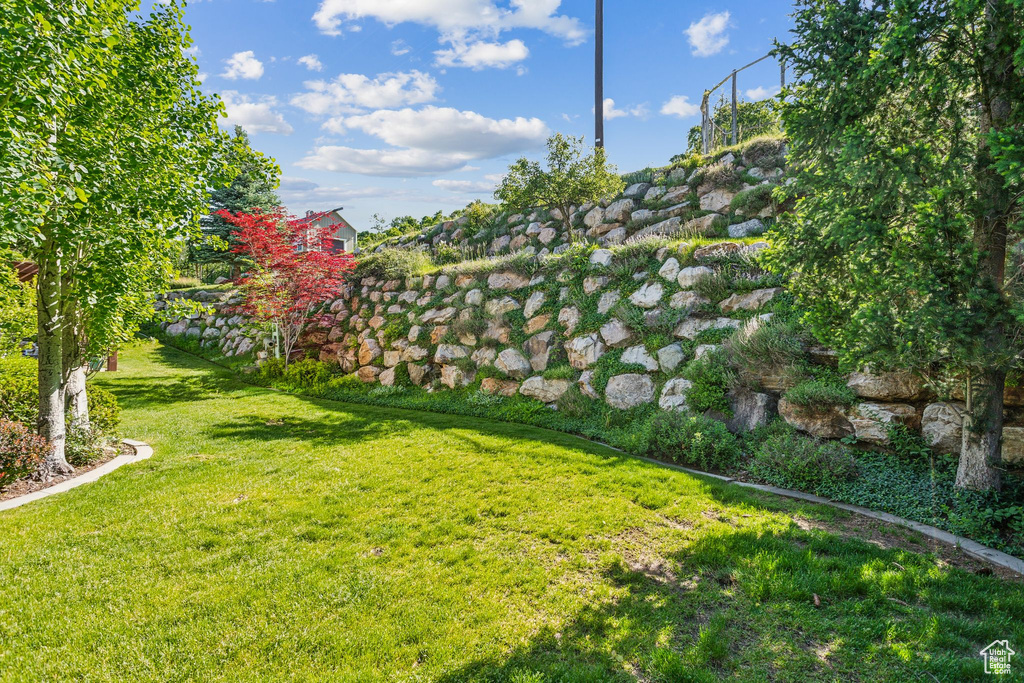 View of grassy yard