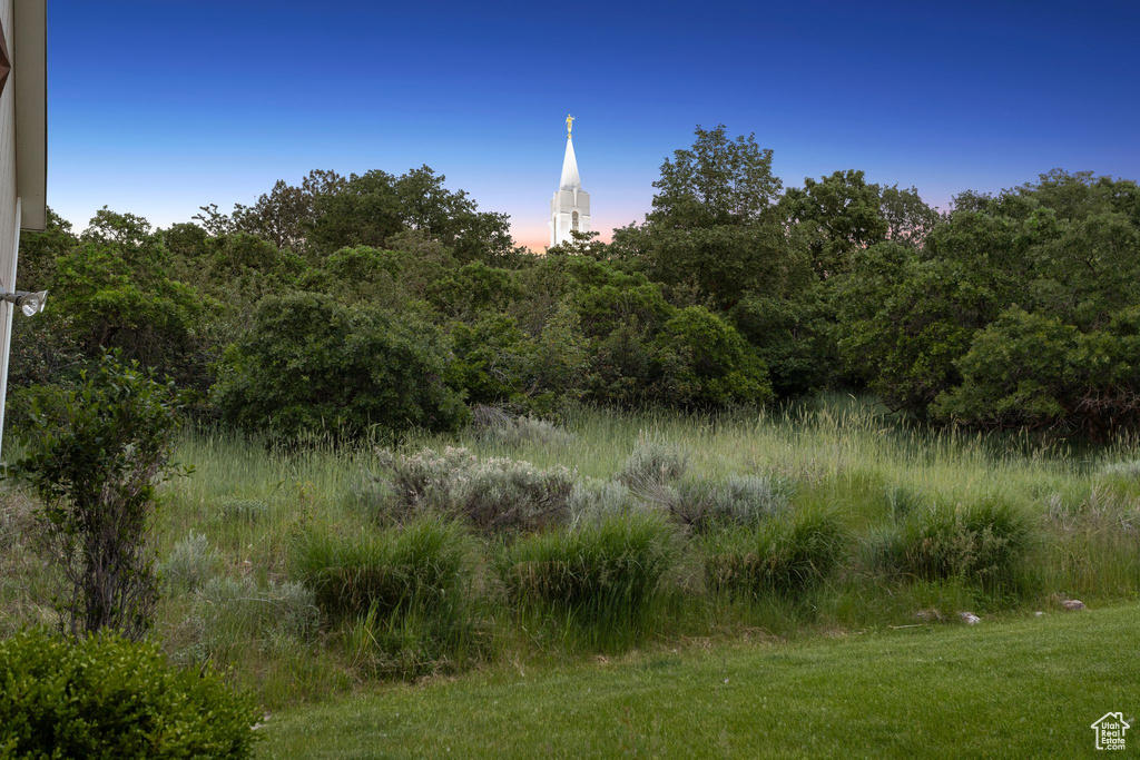 View of nature
