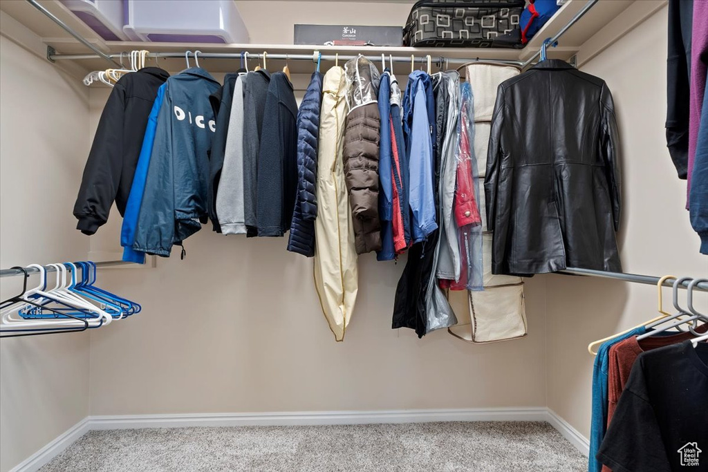 Spacious closet featuring carpet flooring