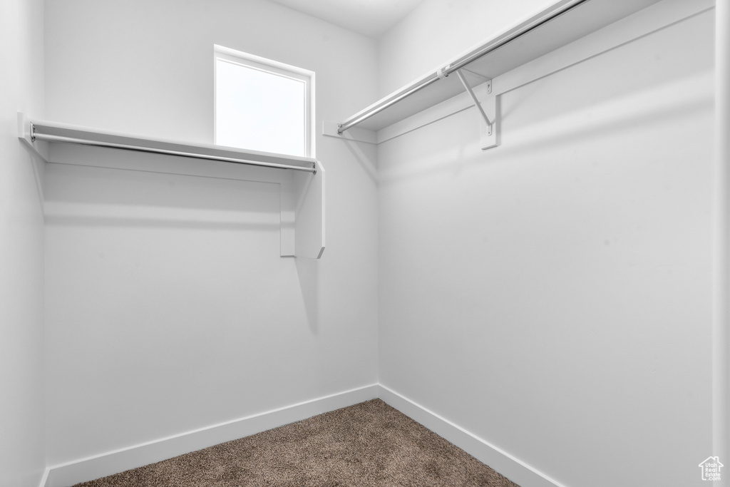 Walk in closet featuring dark colored carpet