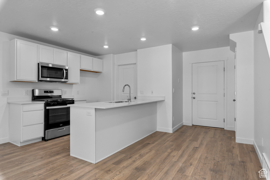 Kitchen featuring appliances with stainless steel finishes, a sink, light countertops, light wood-style floors, and recessed lighting