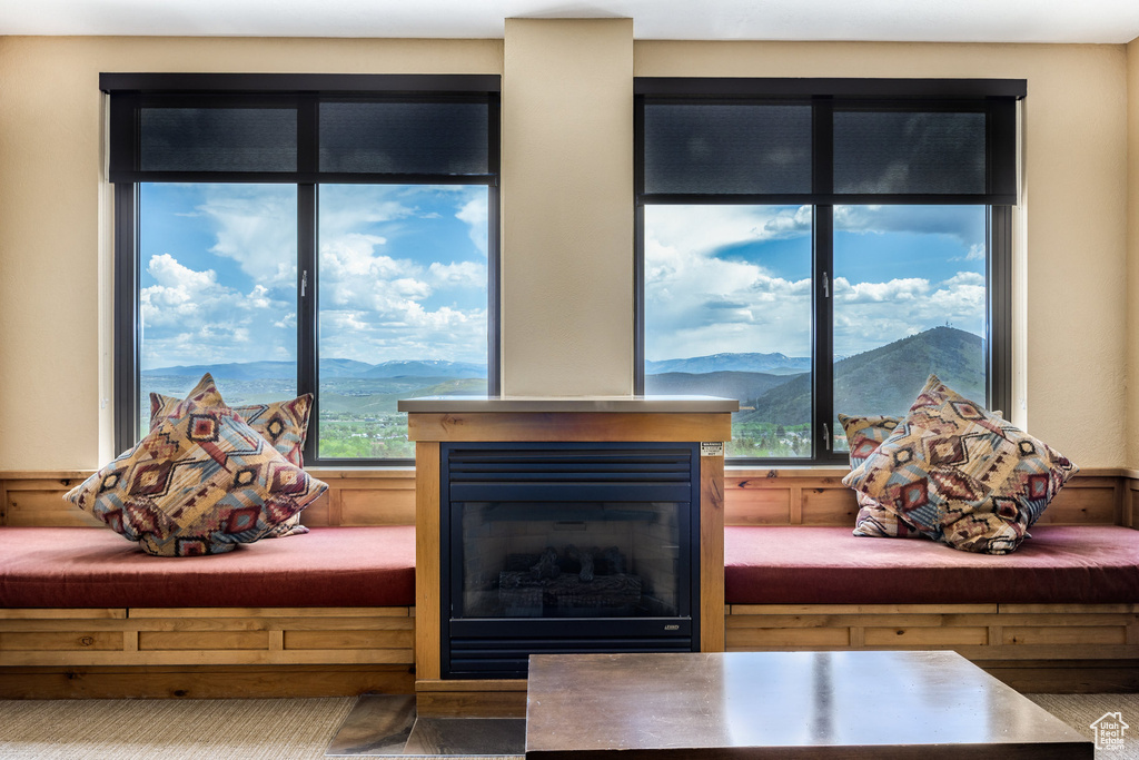 Detailed view of a glass covered fireplace and mountains