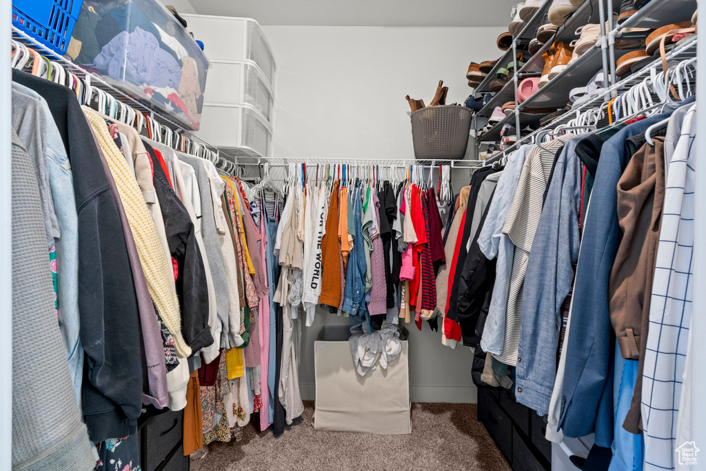 Walk in closet featuring carpet flooring