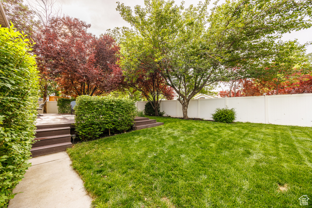 View of yard featuring a wooden deck