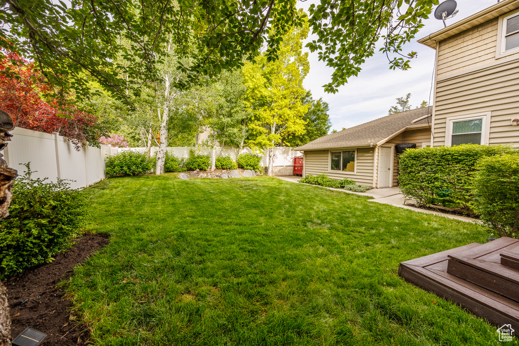 View of yard