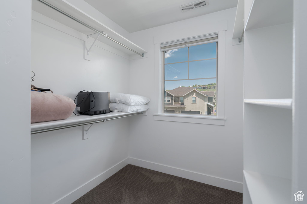 Spacious closet featuring dark colored carpet