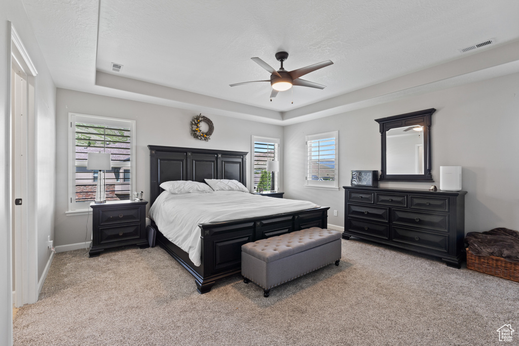 Bedroom with a tray ceiling, light carpet, multiple windows, and baseboards