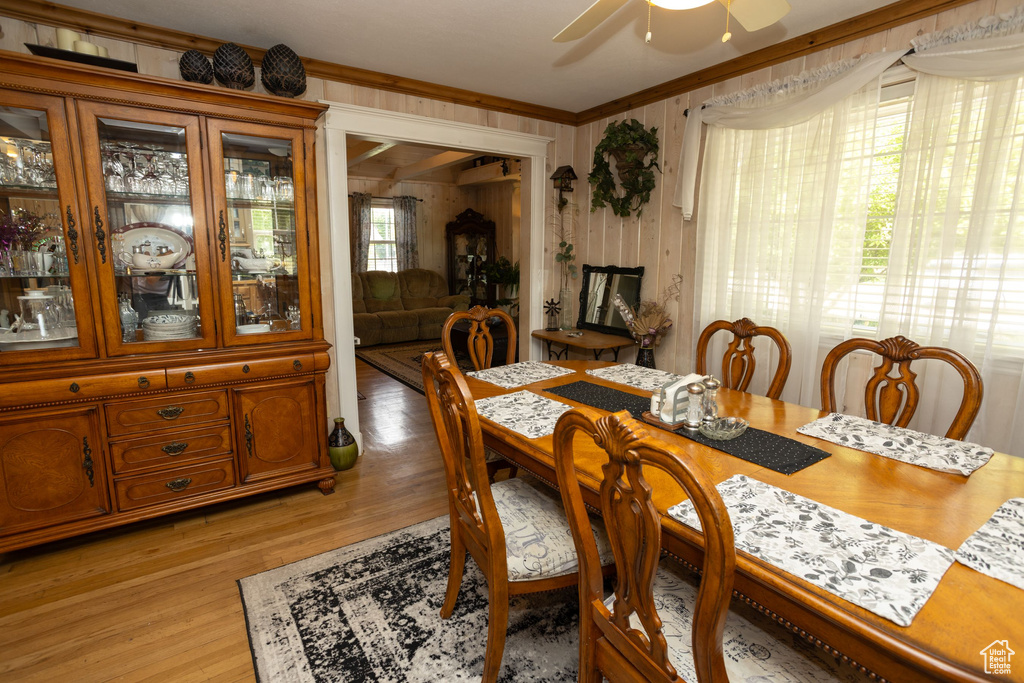 Dining room with crown molding, light wood-style floors, and a ceiling fan