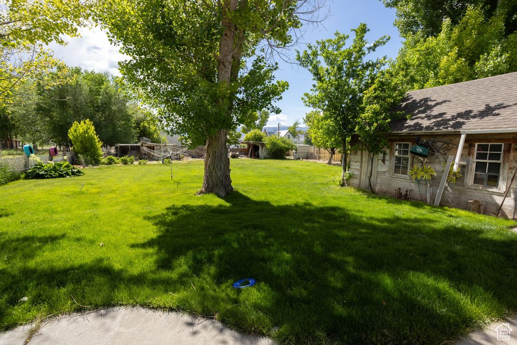 View of green lawn