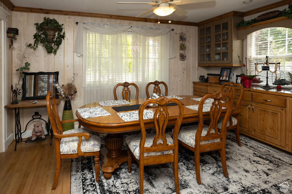 Dining space featuring ceiling fan, light wood finished floors, ornamental molding, and wood walls