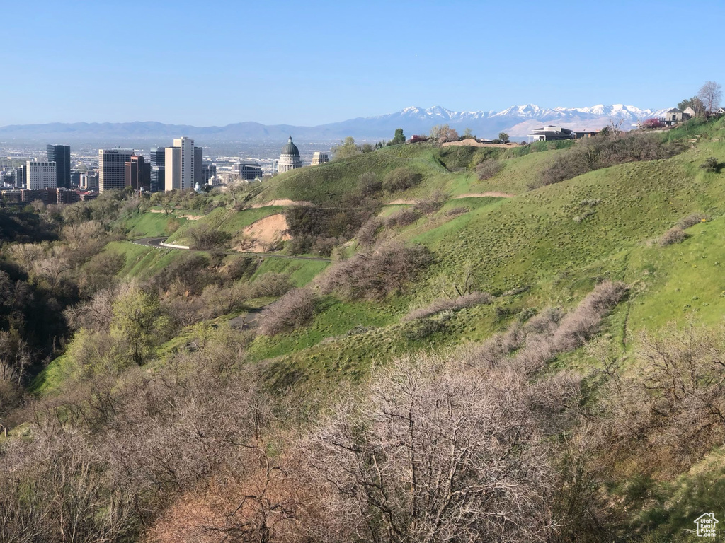 Mountain view
