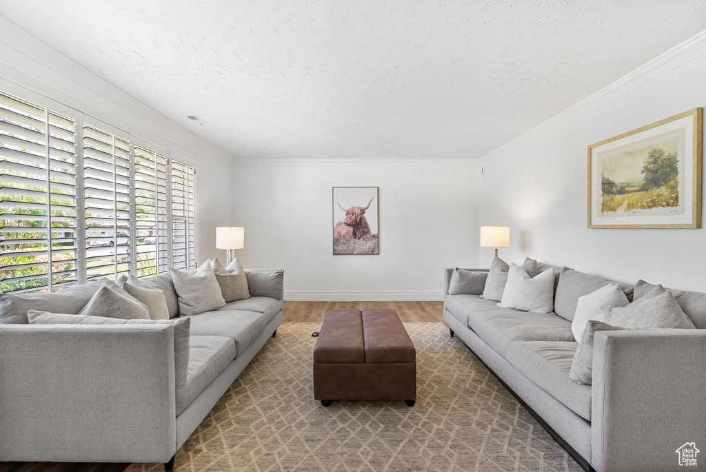 Living room with wood finished floors, a textured ceiling, crown molding, and baseboards