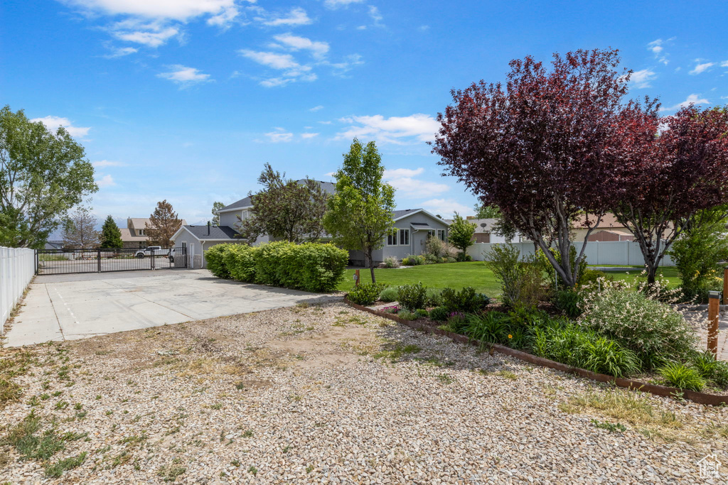 View of yard with a residential view, concrete driveway, and a gate