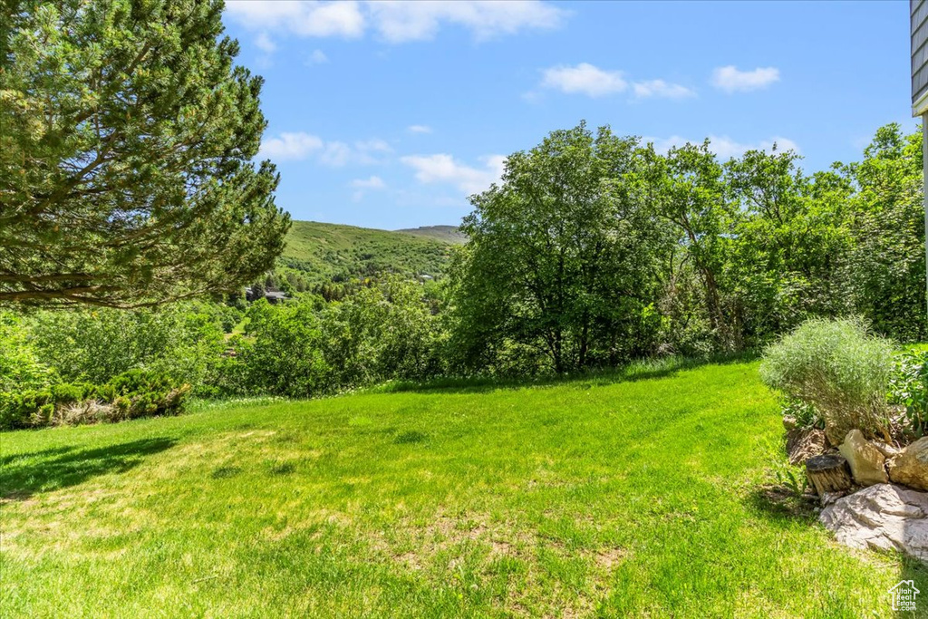 View of grassy yard