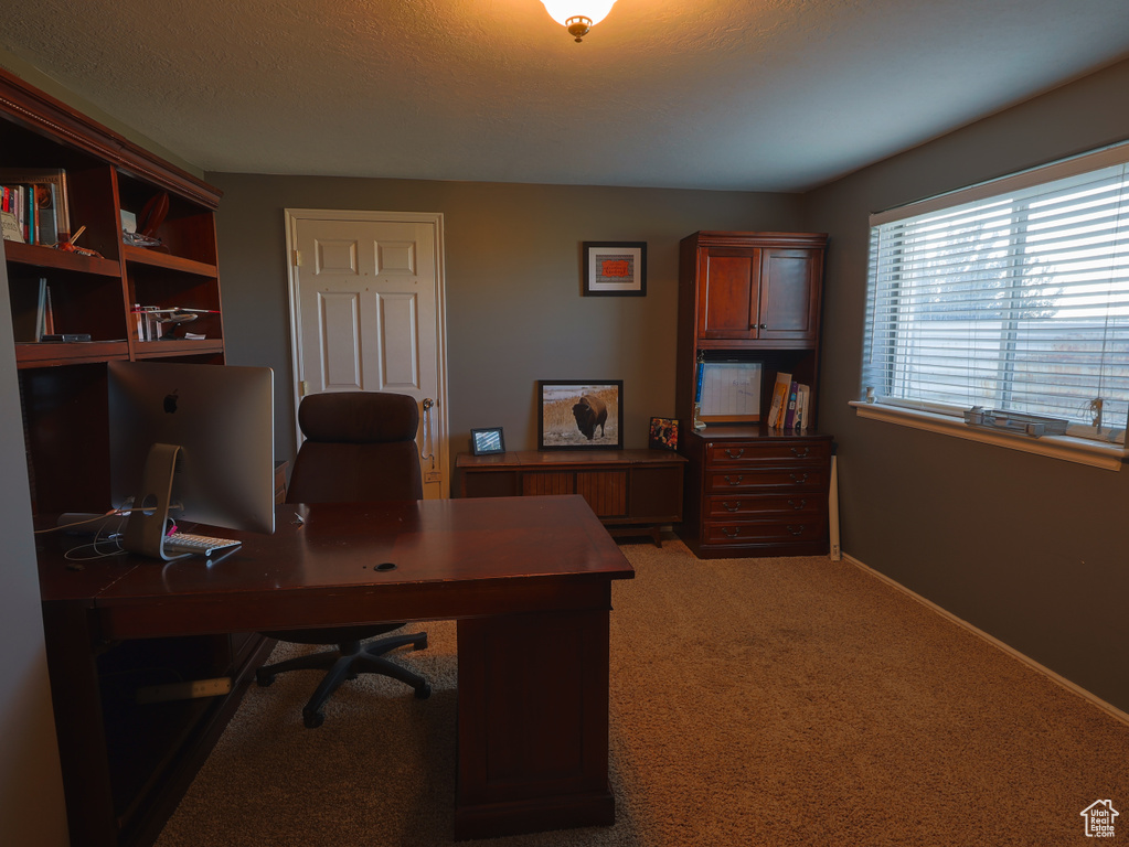 Office area featuring light carpet and baseboards