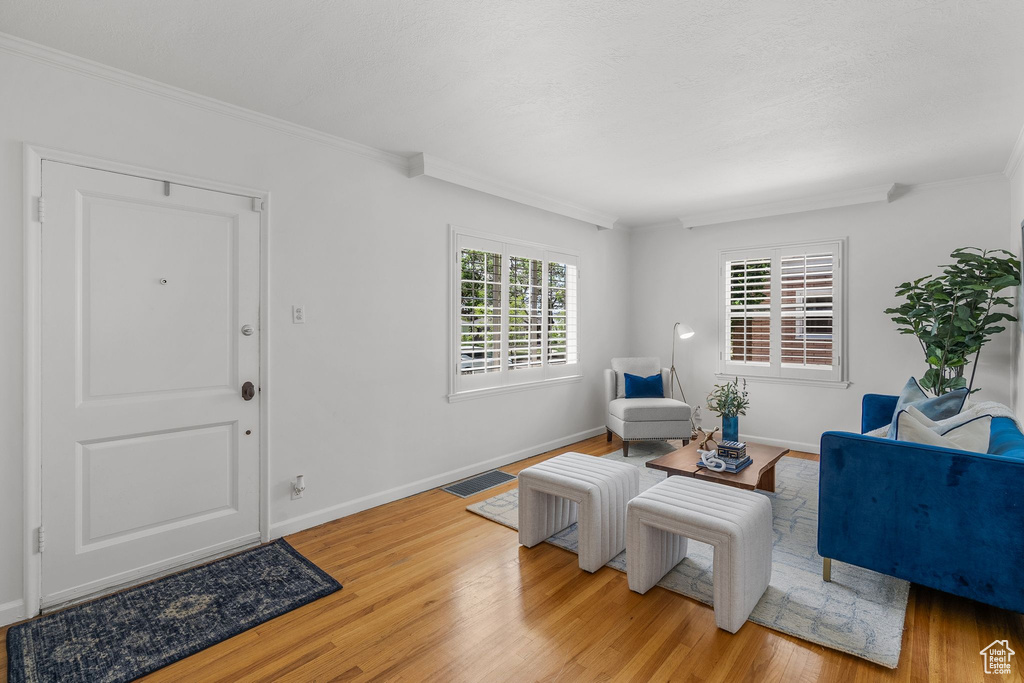 Living area featuring ornamental molding, light wood-style floors, and baseboards