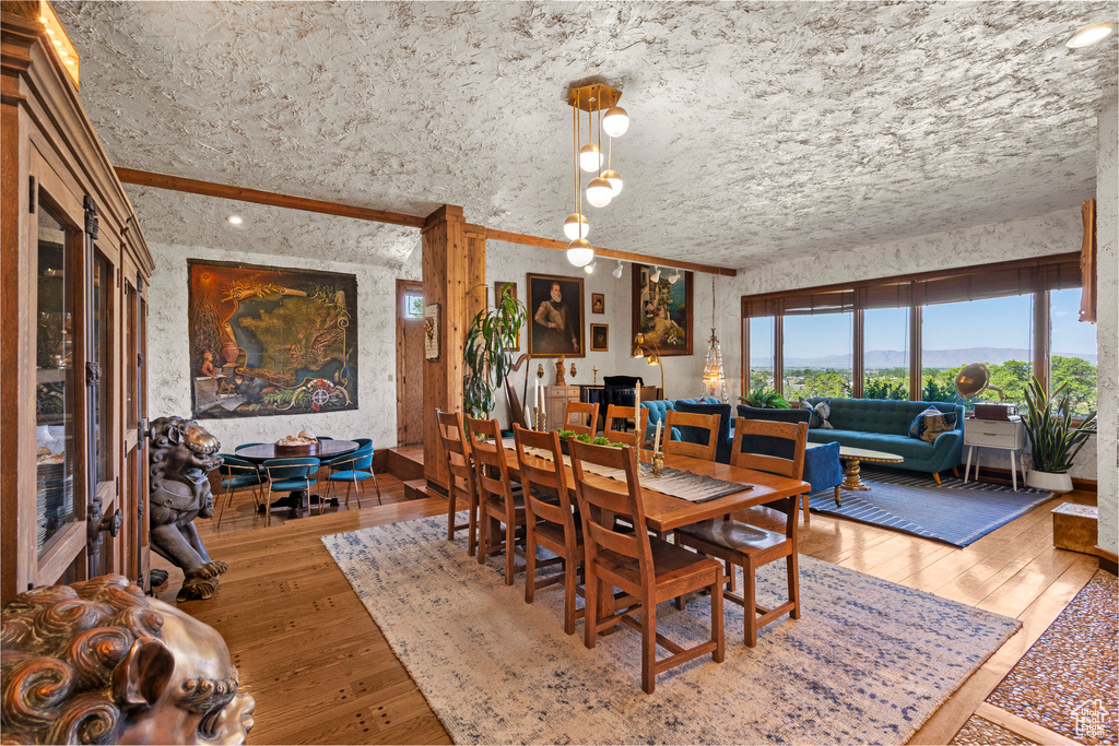 Dining space featuring hardwood / wood-style floors