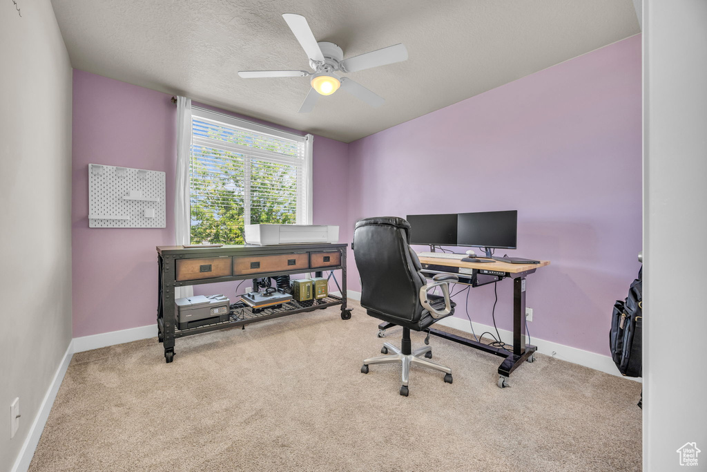 Office area with carpet floors, baseboards, ceiling fan, and a textured ceiling