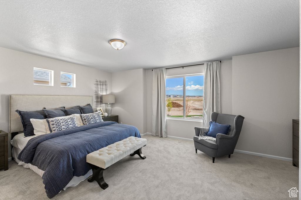 Bedroom with multiple windows, light colored carpet, a textured ceiling, and baseboards